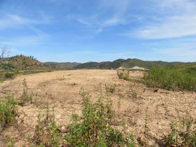 Terreno para Venda em Alferce Foto 9