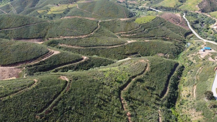 Terreno para Venda em Alferce Foto 18