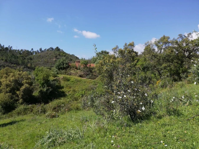 Terreno para Venda em Marmelete Foto 7