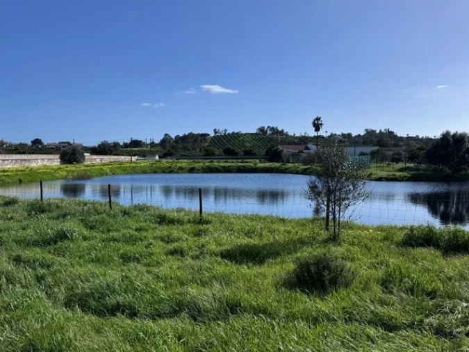 Moradia T3 para Venda em Silves Foto 25