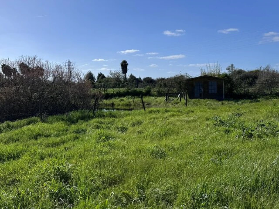 Moradia T3 para Venda em Silves Foto 23