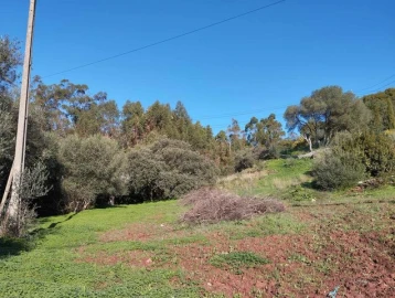 Terreno para Venda em São Brás de Alportel