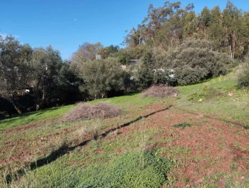 Terreno para Venda em São Brás de Alportel