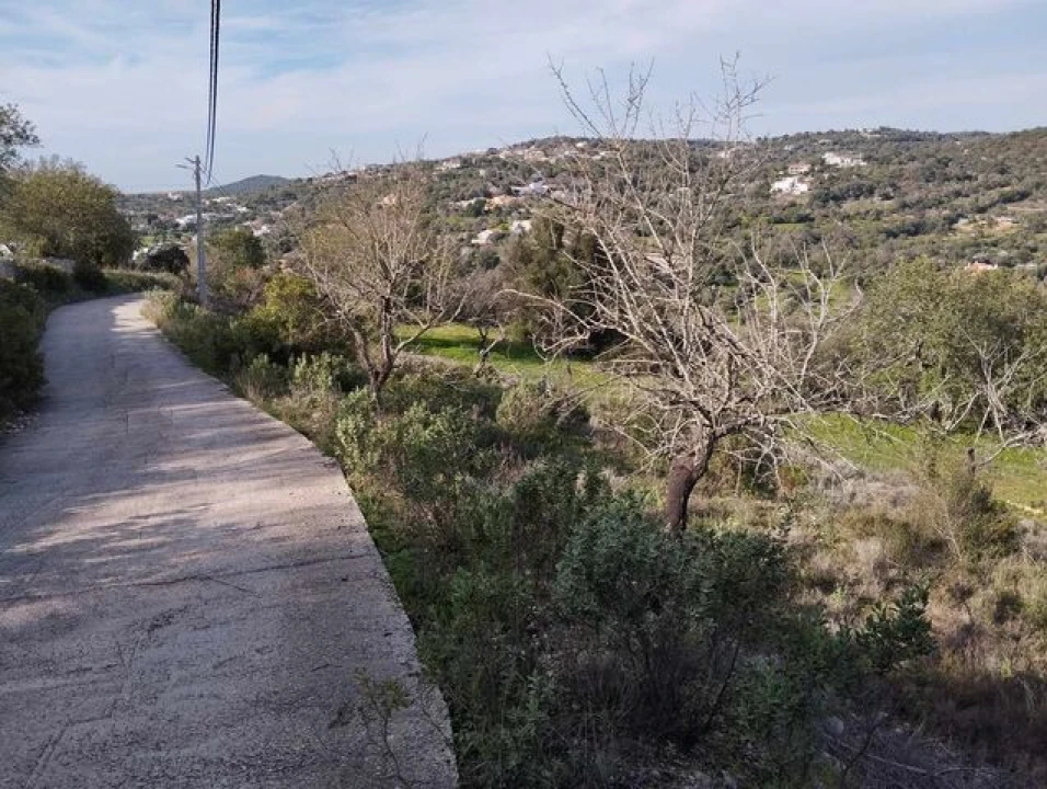 Terreno para Venda em Loule (São Sebastião) Foto 1