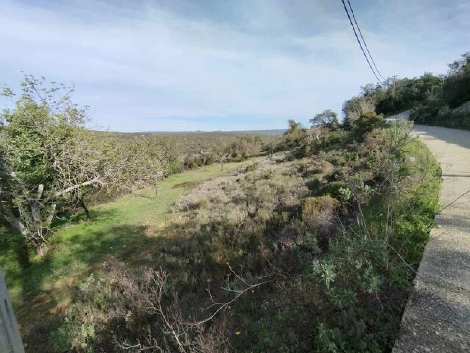 Terreno para Venda em Loule (São Sebastião) Foto 2