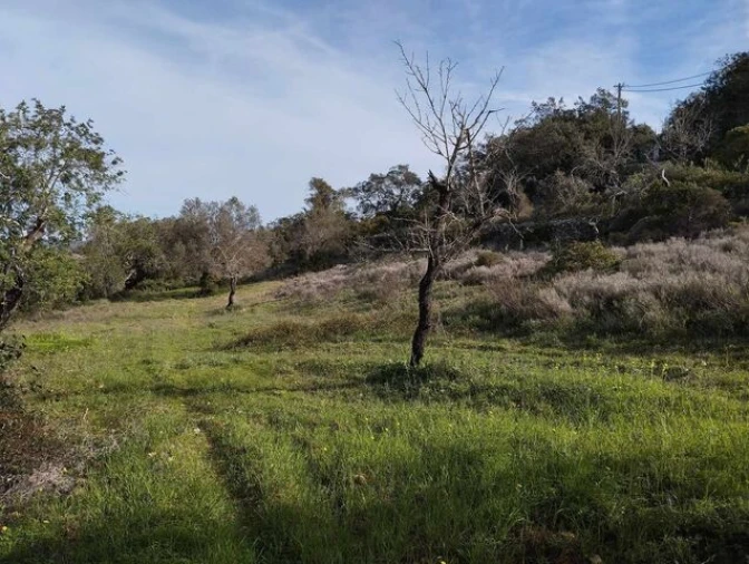 Terreno para Venda em Loule (São Sebastião) Foto 3
