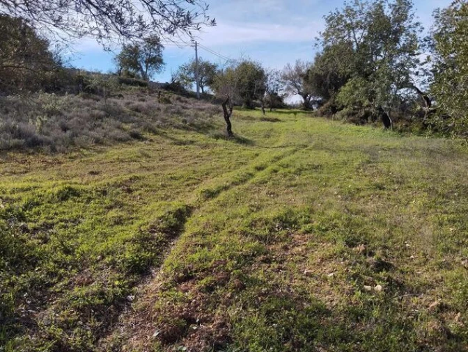 Terreno para Venda em Loule (São Sebastião) Foto 4