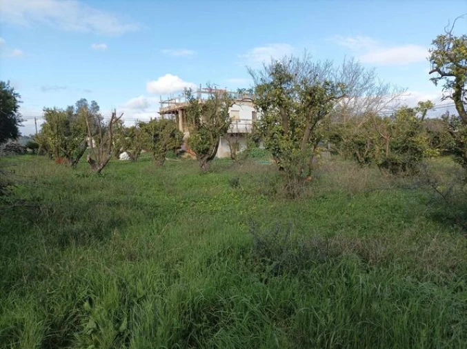 Moradia T0 para Venda em Boliqueime Foto 3