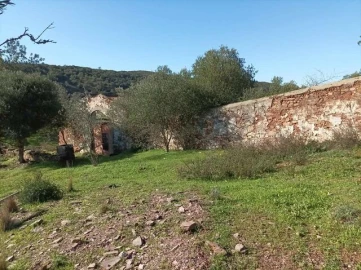 Terreno para Venda em São Brás de Alportel