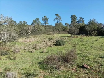 Terreno para Venda em São Brás de Alportel