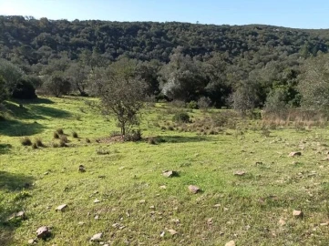 Terreno para Venda em São Brás de Alportel