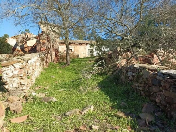 Terreno para Venda em São Brás de Alportel Foto 2