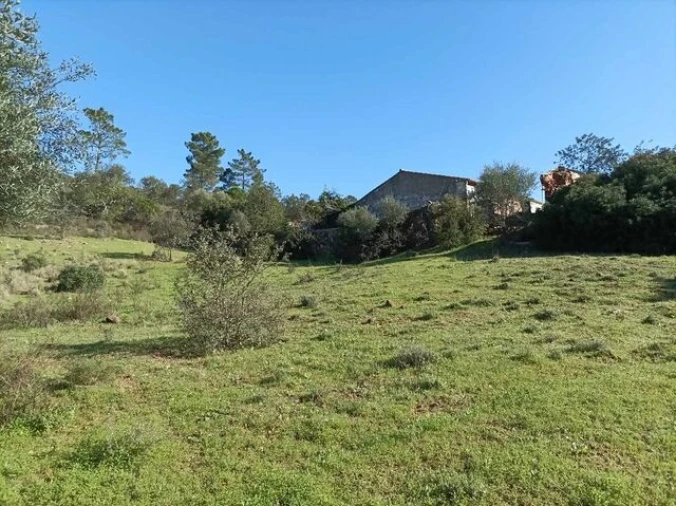 Terreno para Venda em São Brás de Alportel Foto 3