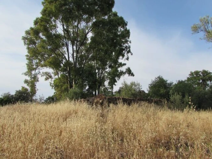 Moradia T0 para Venda em Salir Foto 6