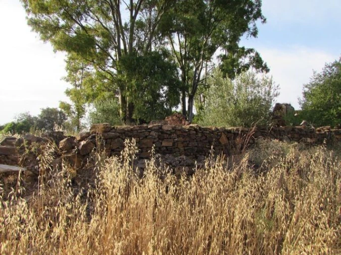 Moradia T0 para Venda em Salir Foto 3