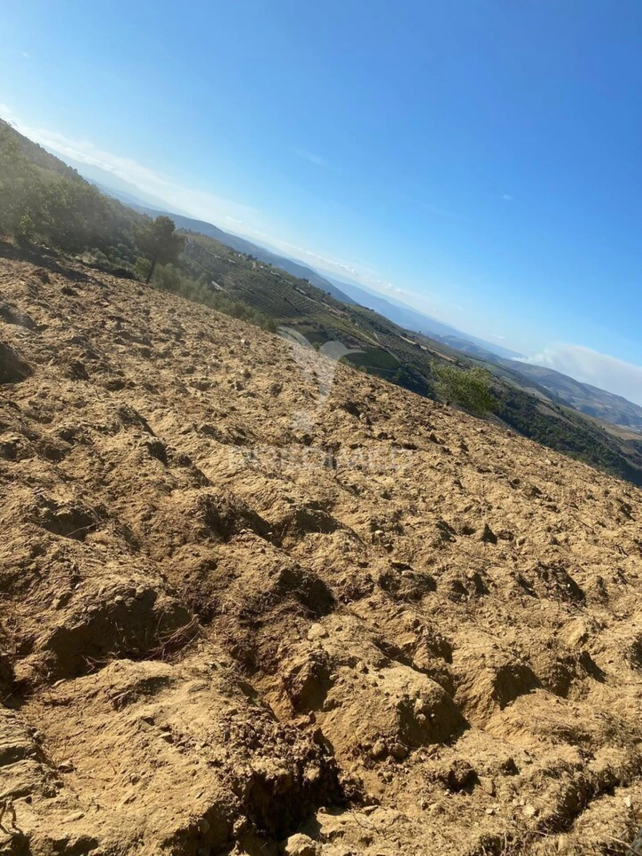 Terreno para Venda em Povoa de Penela Foto 5