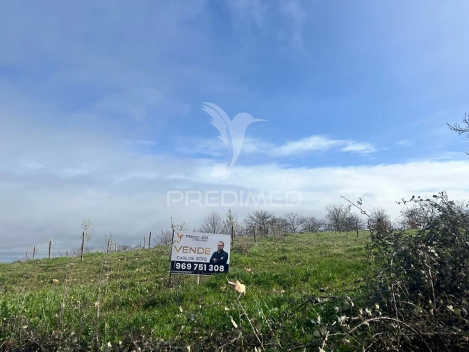 Terreno para Venda em Povoa de Penela Foto 10