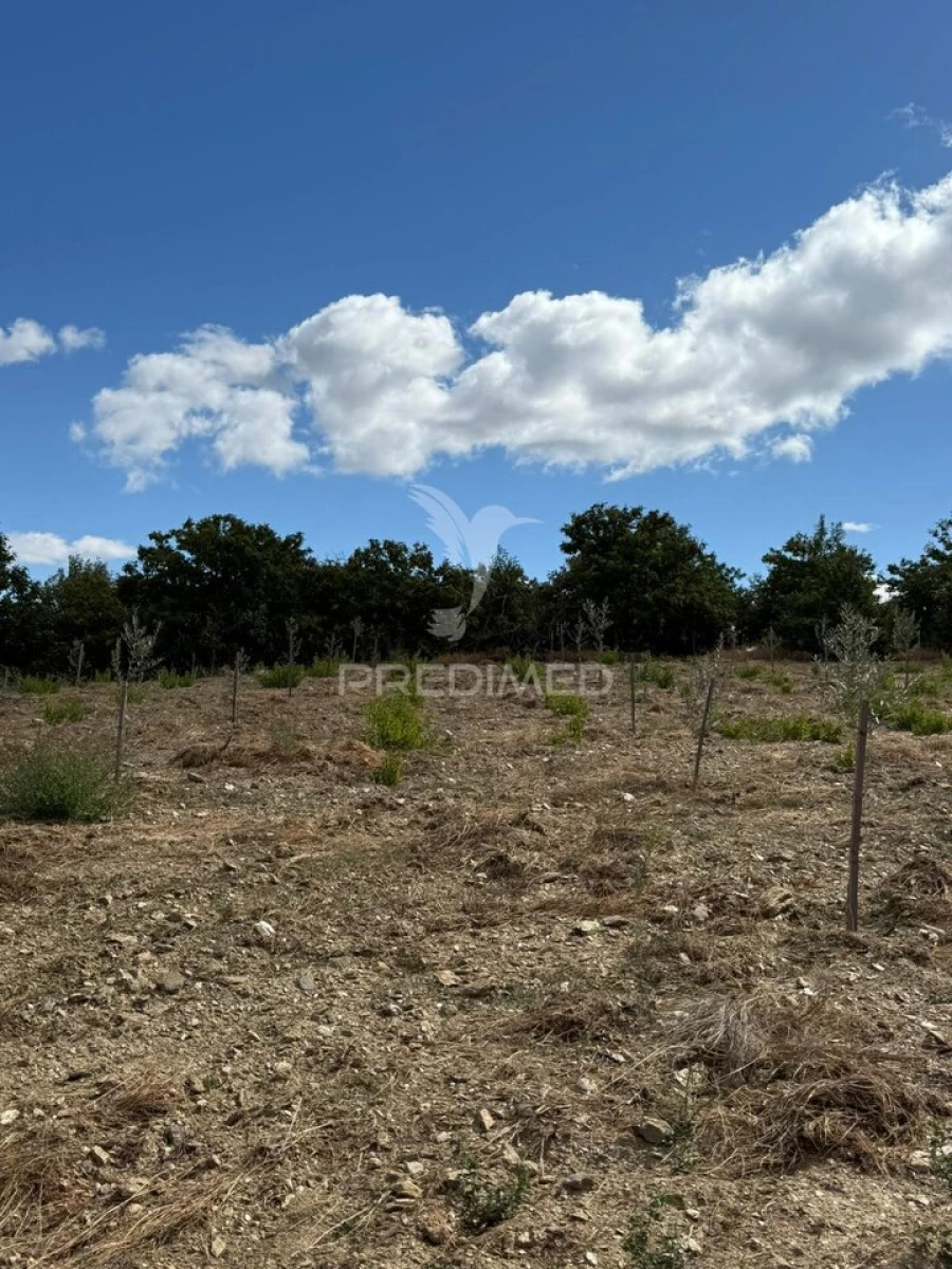 Terreno para Venda em Povoa de Penela