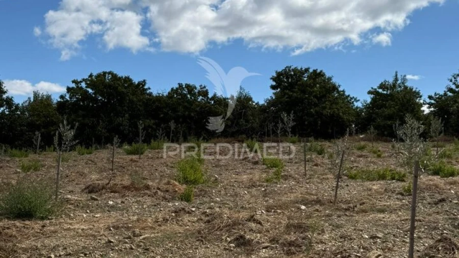 Terreno para Venda em Povoa de Penela