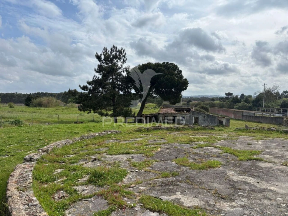 Terreno para Venda em Caldas da Rainha - Santo Onofre e Serra do Bouro Foto 2