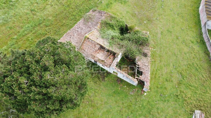 Terreno para Venda em Caldas da Rainha - Santo Onofre e Serra do Bouro Foto 14