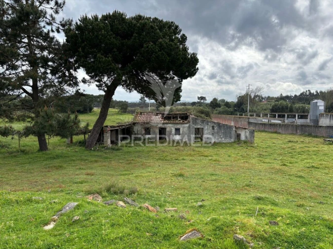Terreno para Venda em Caldas da Rainha - Santo Onofre e Serra do Bouro Foto 4