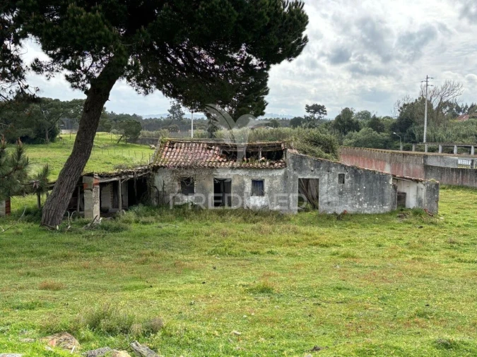 Terreno para Venda em Caldas da Rainha - Santo Onofre e Serra do Bouro Foto 3