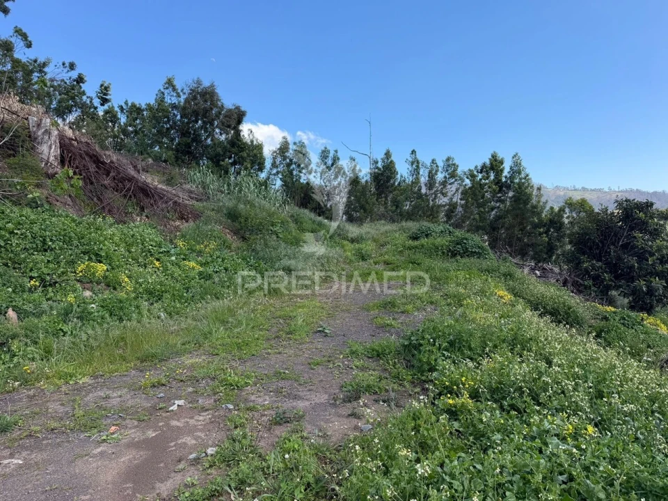 Terreno para Venda em Ribeira Brava Foto 2