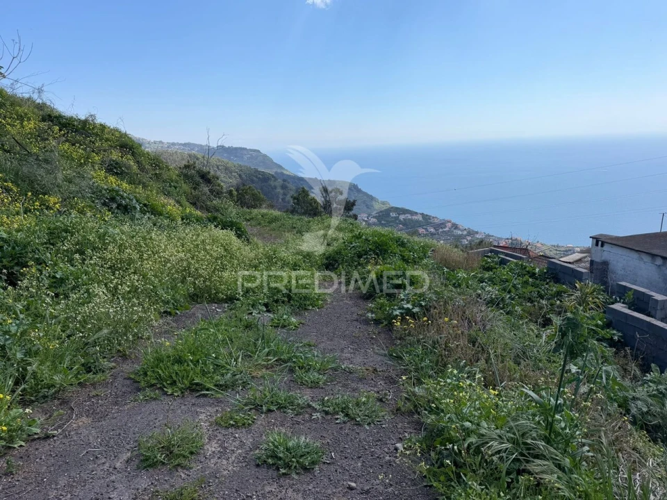 Terreno para Venda em Ribeira Brava Foto 8