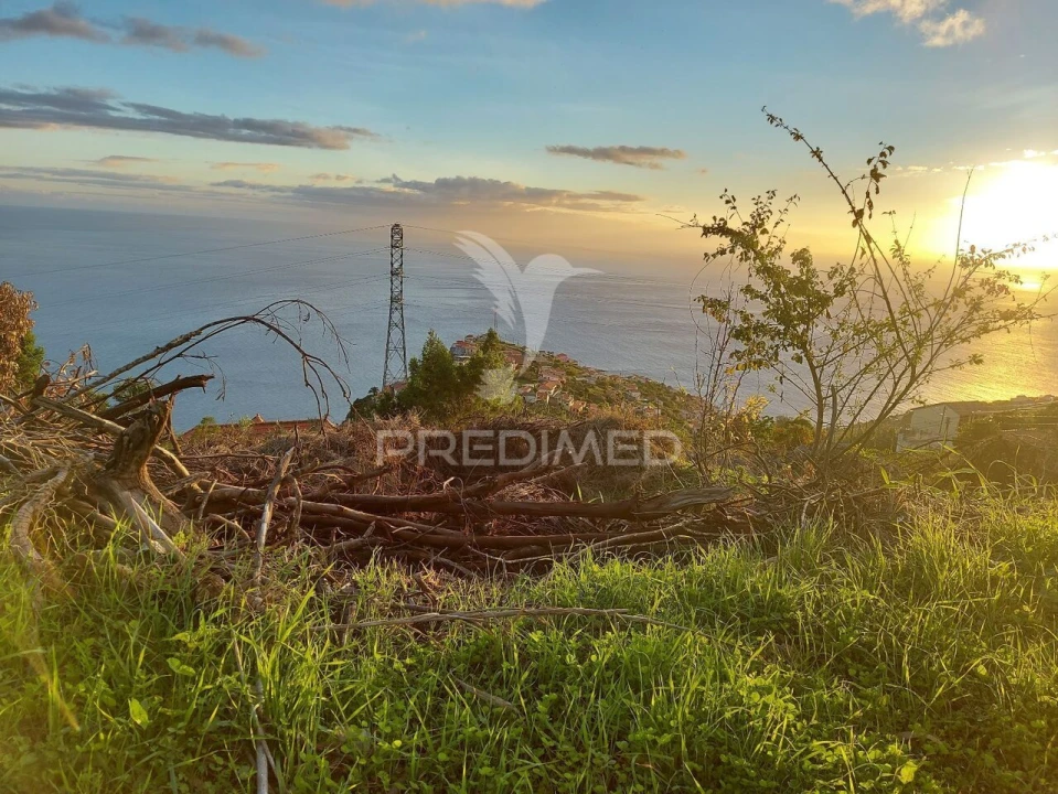 Terreno para Venda em Ribeira Brava Foto 12