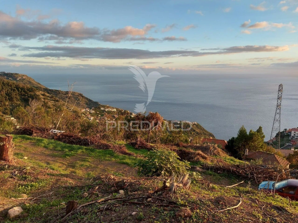 Terreno para Venda em Ribeira Brava Foto 26