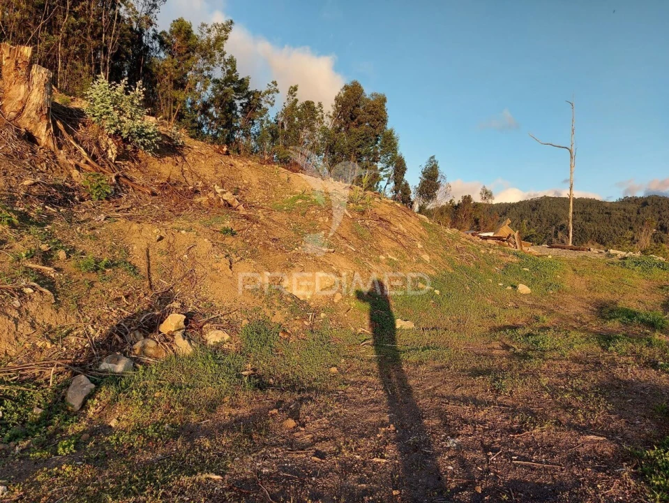 Terreno para Venda em Ribeira Brava Foto 2