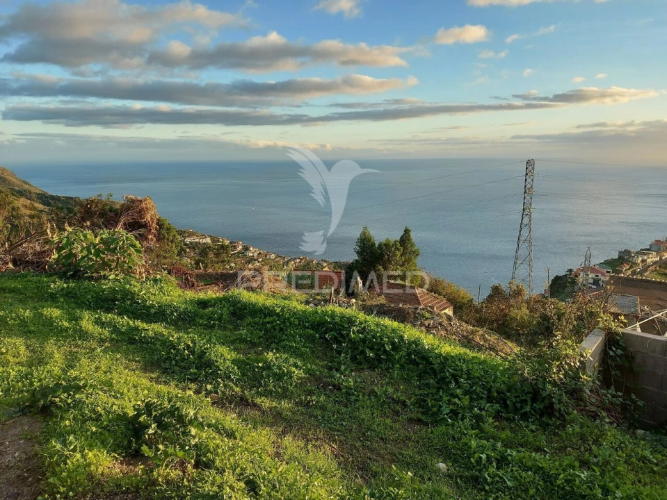 Terreno para Venda em Ribeira Brava Foto 4