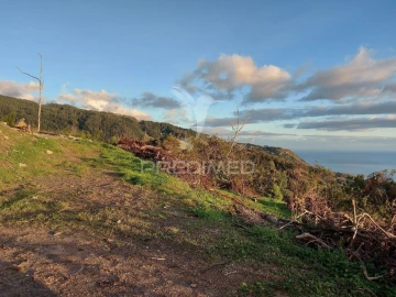 Terreno para Venda em Ribeira Brava