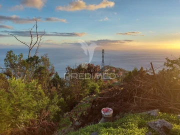 Terreno para Venda em Ribeira Brava