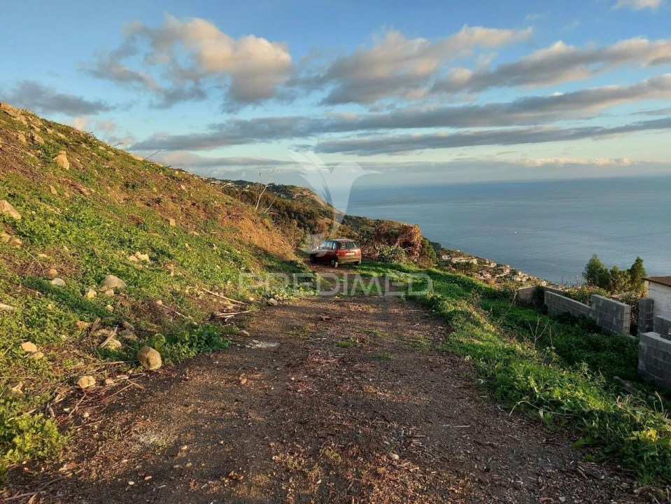 Terreno para Venda em Ribeira Brava Foto 21