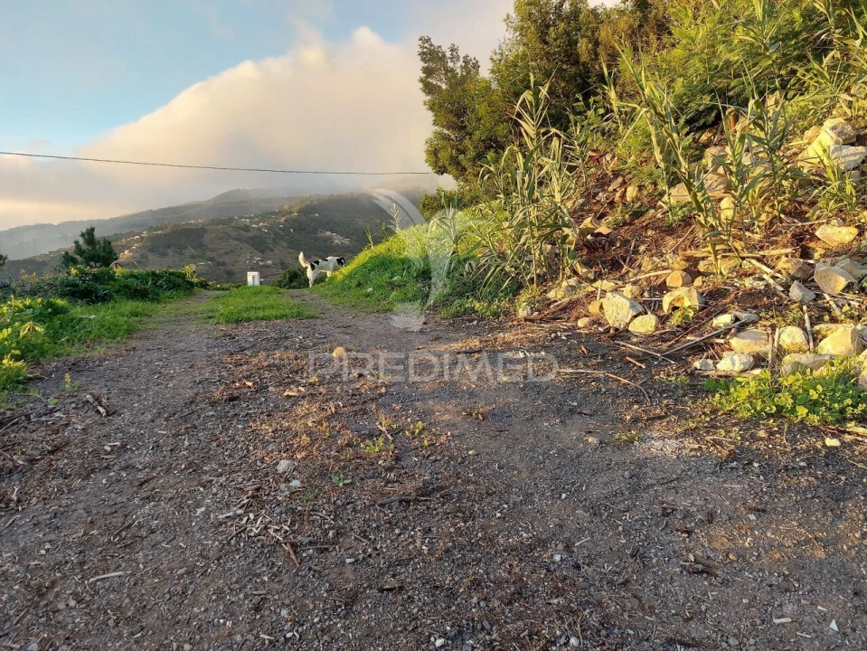Terreno para Venda em Ribeira Brava Foto 23