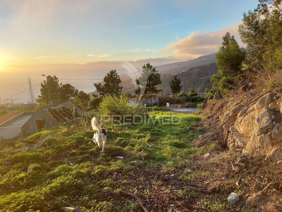 Terreno para Venda em Ribeira Brava Foto 25