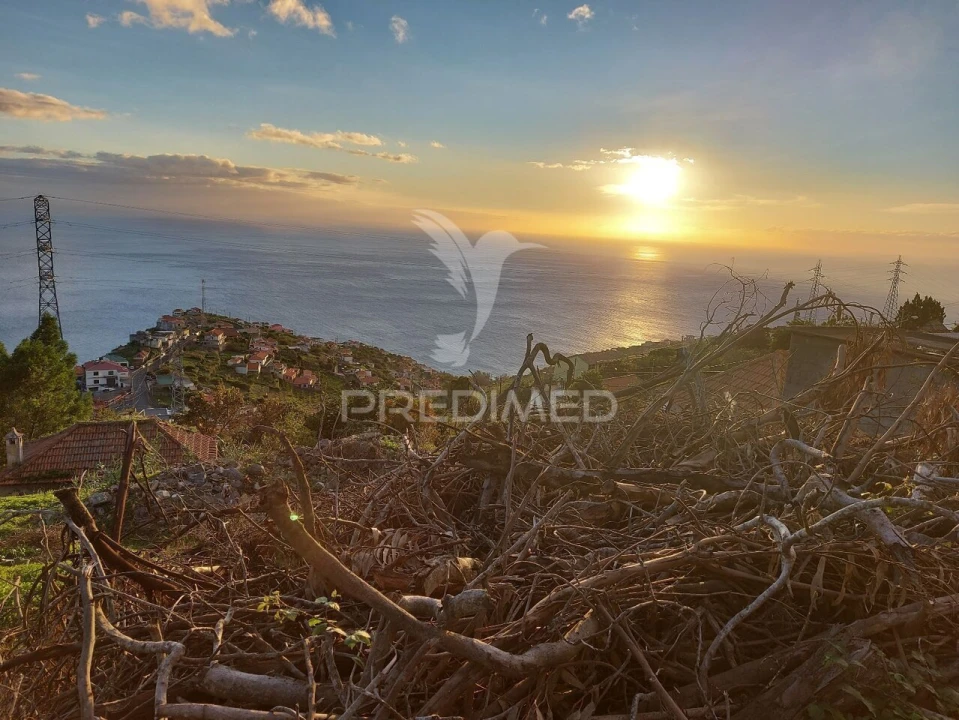 Terreno para Venda em Ribeira Brava Foto 9