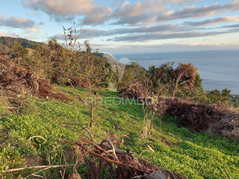 Terreno para Venda em Ribeira Brava Foto 22