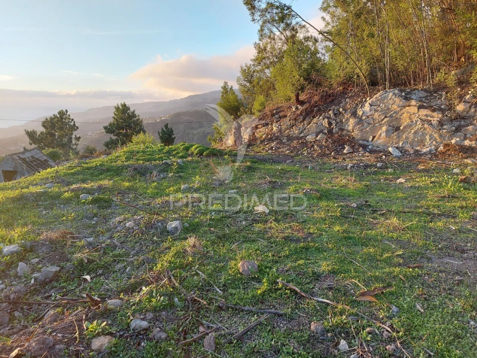 Terreno para Venda em Ribeira Brava Foto 27