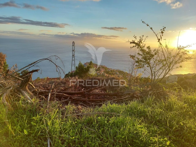 Terreno para Venda em Ribeira Brava Foto 12
