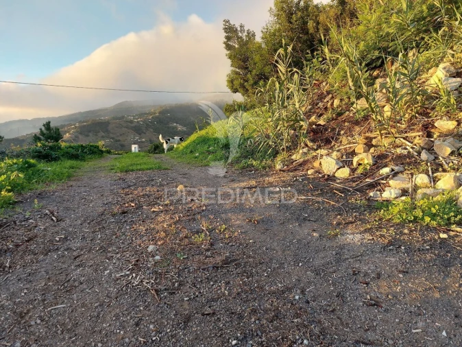 Terreno para Venda em Ribeira Brava Foto 23