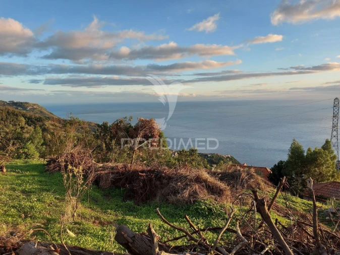 Terreno para Venda em Ribeira Brava Foto 5
