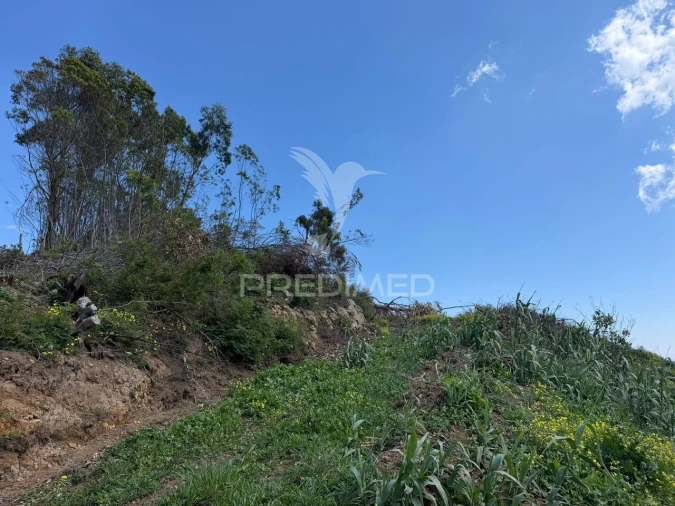 Terreno para Venda em Ribeira Brava