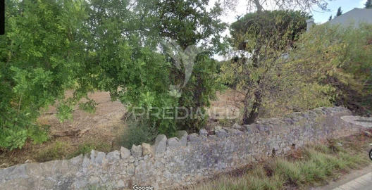 Terreno para Venda em São Brás de Alportel