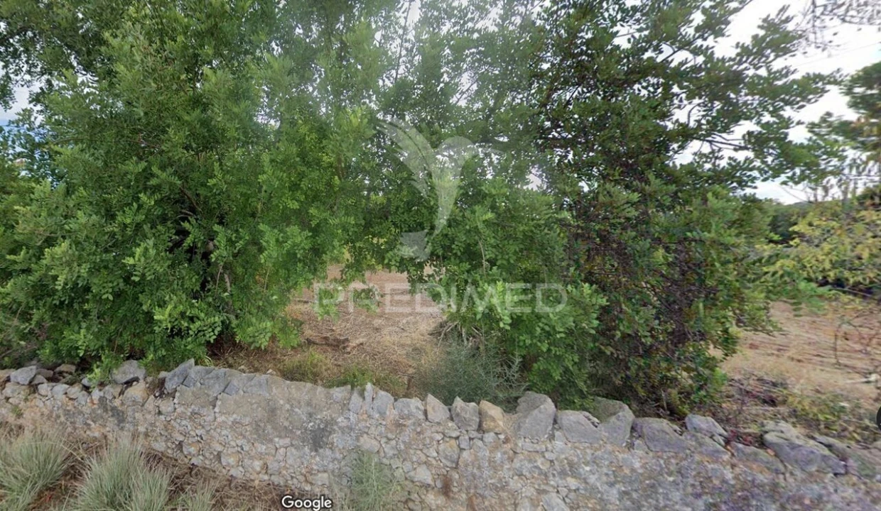 Terreno para Venda em São Brás de Alportel Foto 7
