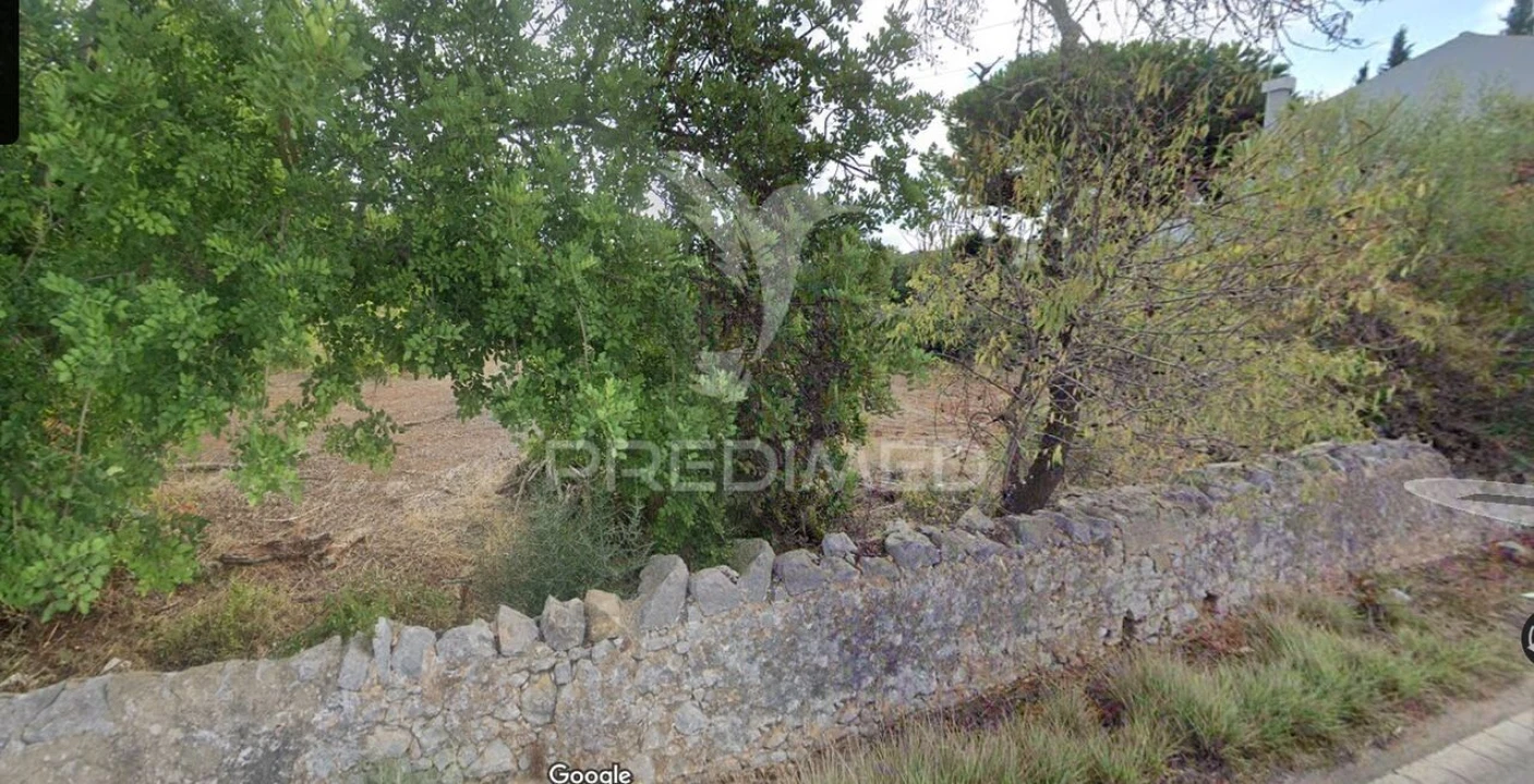 Terreno para Venda em São Brás de Alportel Foto 1