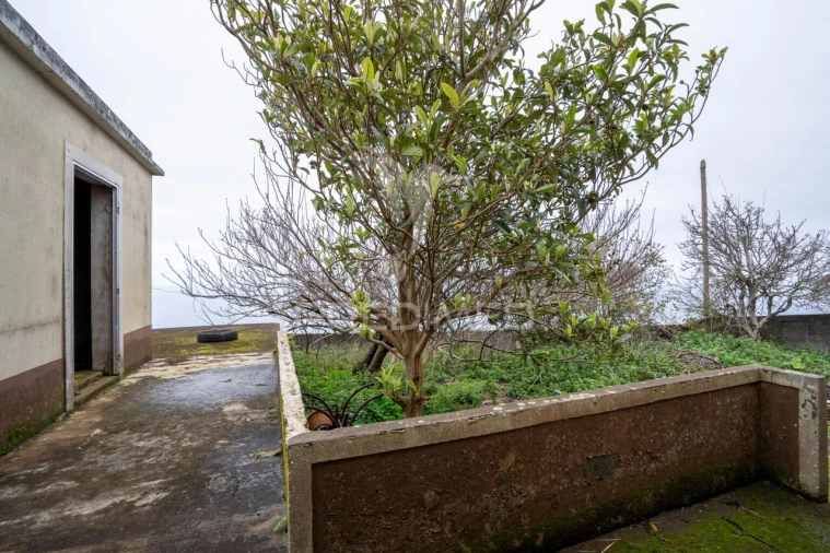 Moradia T3 para Venda em Porto Moniz Foto 3