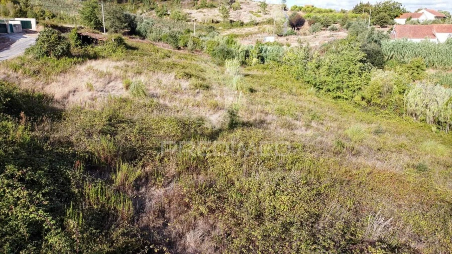 Terreno para Venda em Alvorninha Foto 14